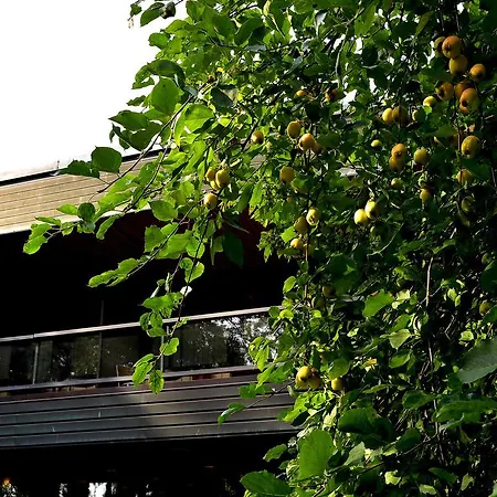 酒店 费加拉酒店 萨罗