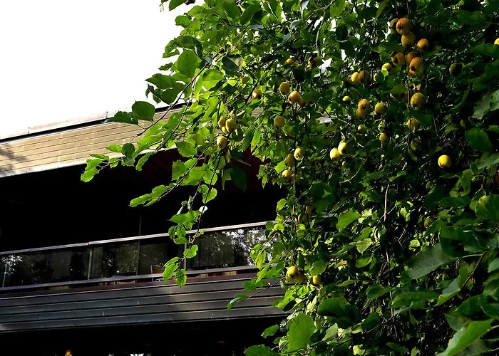 ホテル Fjalar サロ